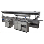 Continuous Electric Fryers
